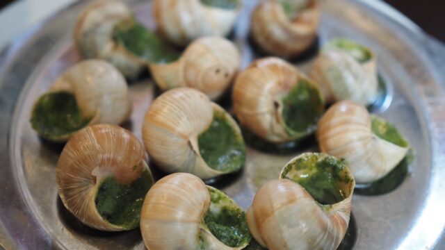 escargot paris connoisseur