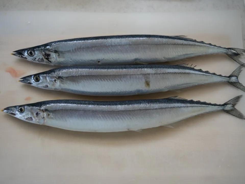 Sanma gohan