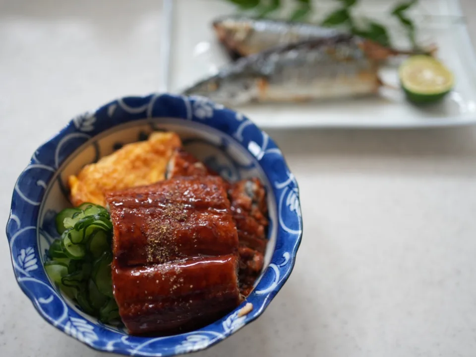 Una-tama don Unagi and tamagoyaki