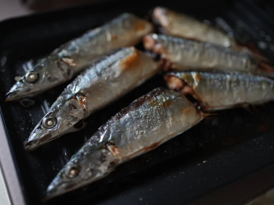 Grilled sanma