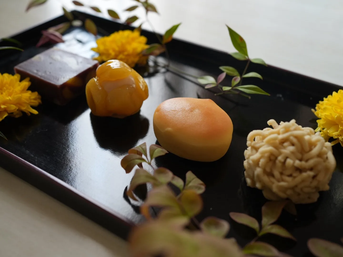 Wagashi Collection, the Art of Shibukawa-ni (Japanese Candied