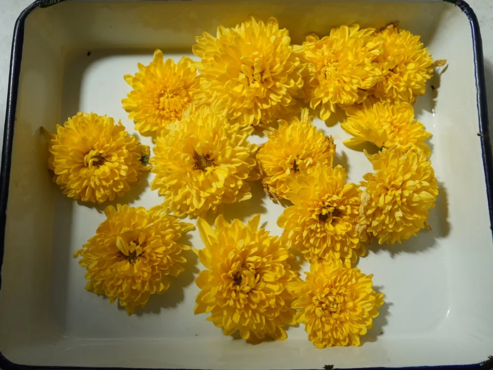 Chrysanthemum pickles