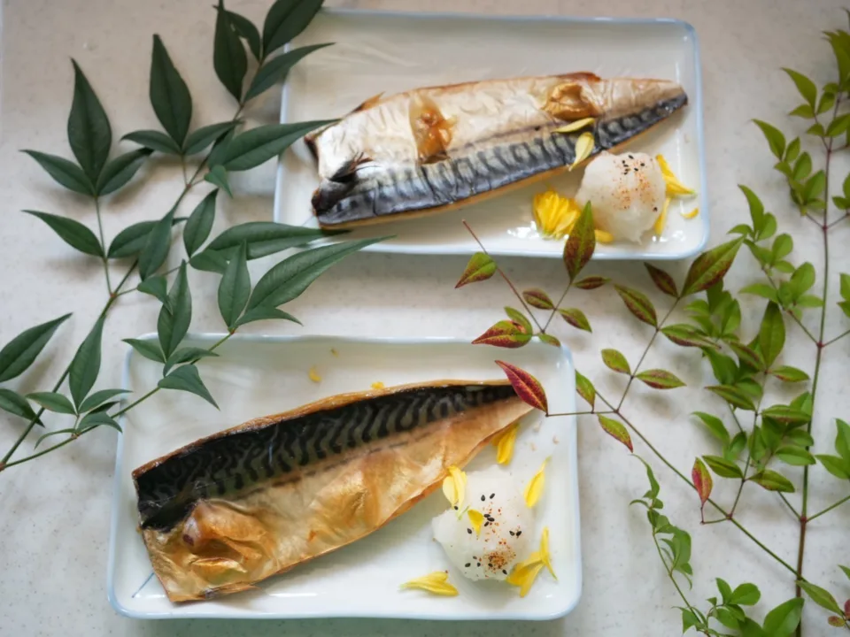 mackerel saba