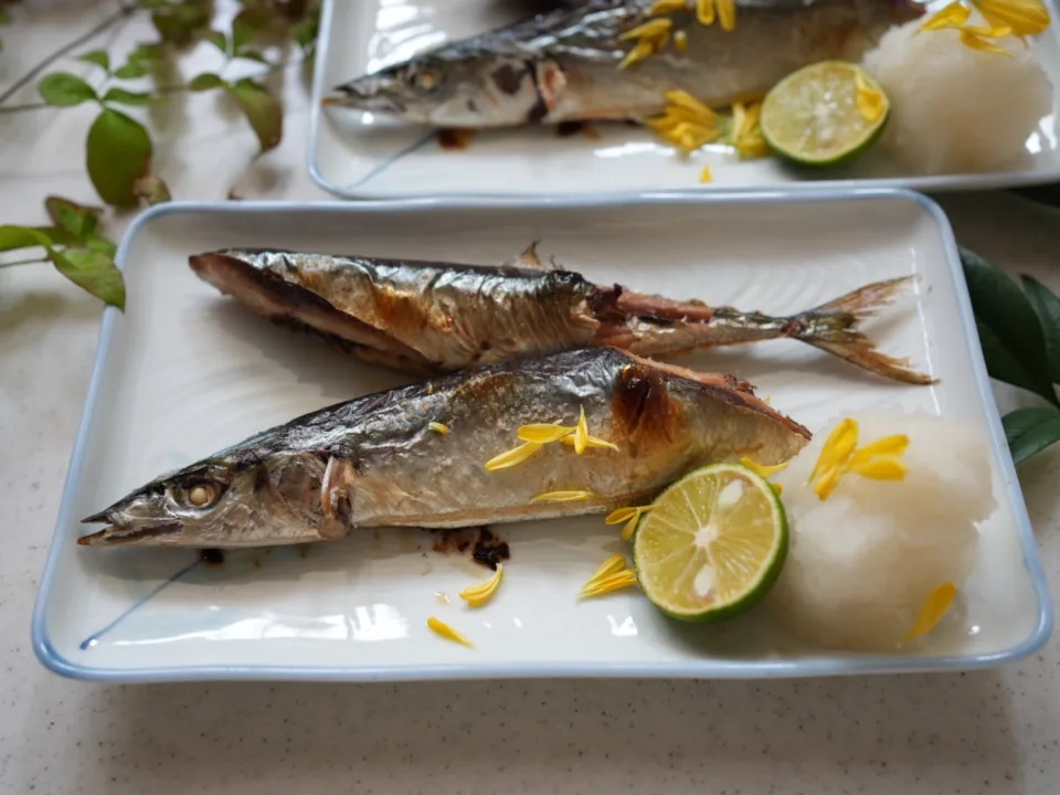 grilled sanma