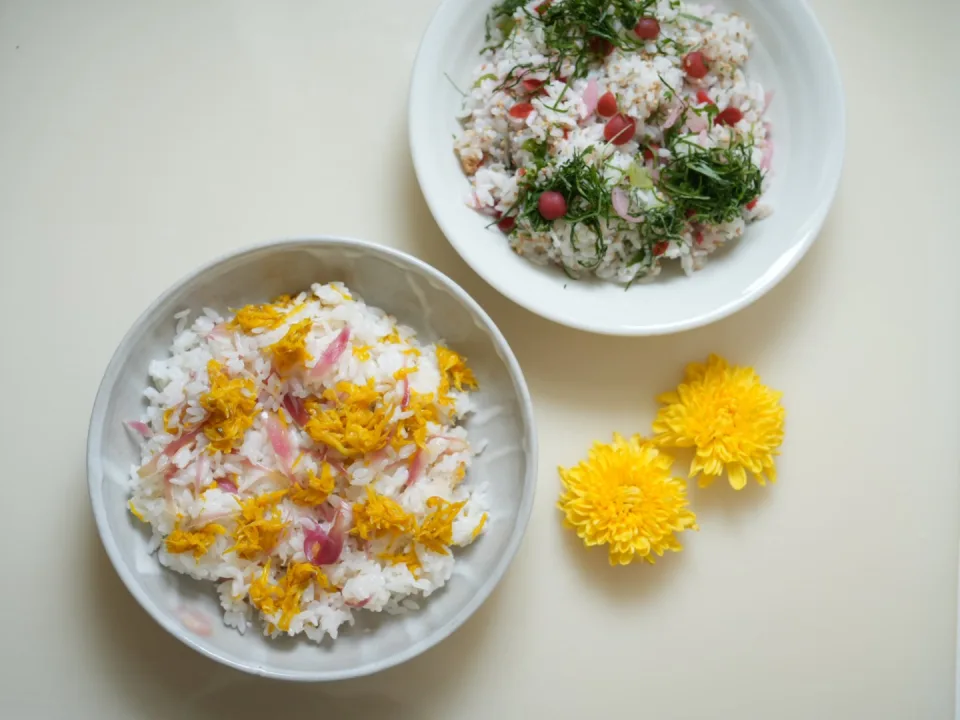 maze gohan Chrysanthemum & Chirimen