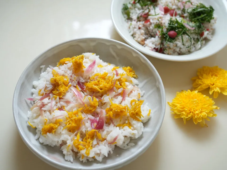 maze gohan Chrysanthemum