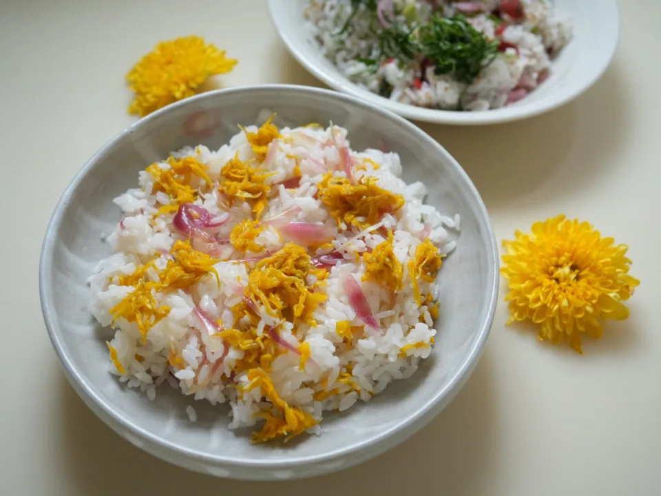 maze gohan Chrysanthemum