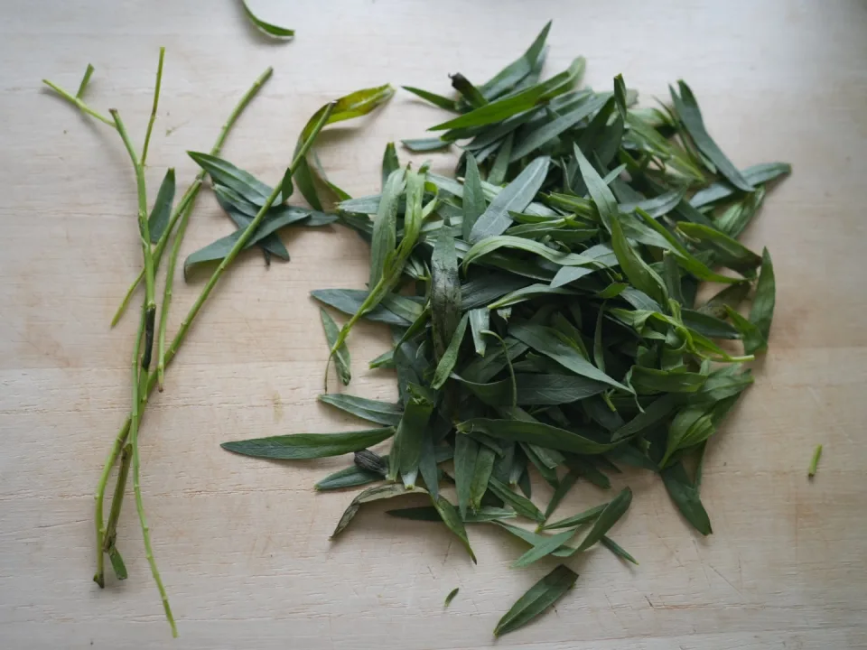 Tarragon タラゴン